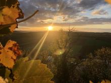 Herbstkonzert